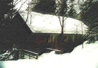 Winter at Pangloss